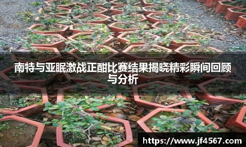 南特与亚眠激战正酣比赛结果揭晓精彩瞬间回顾与分析